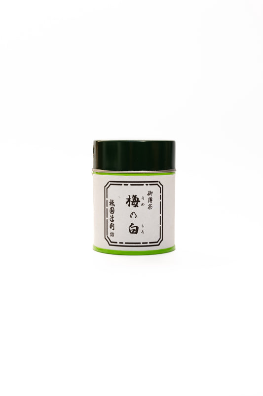 Ume no Shiro